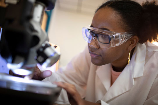 Scientists doing research in a lab